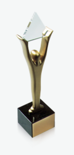 Stevie Award for Women in Business & Confero